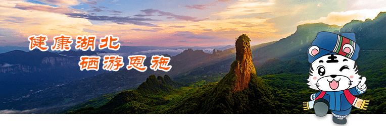 
​【与爱同行 惠游湖北】杭情施意 恩施等你丨恩施州文旅推介走进杭州  助推工具部扶贫协作|hth·华体网站(图4)