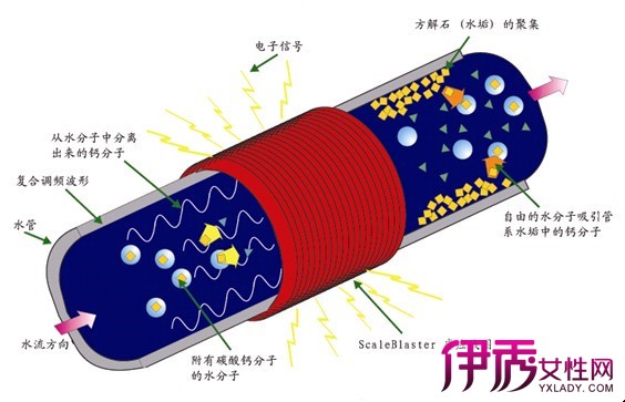 hth·华体(中国区)官方网站