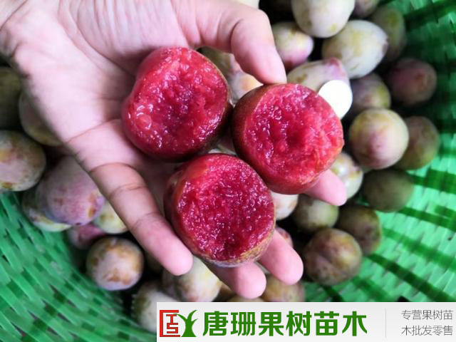 hth官方网站
