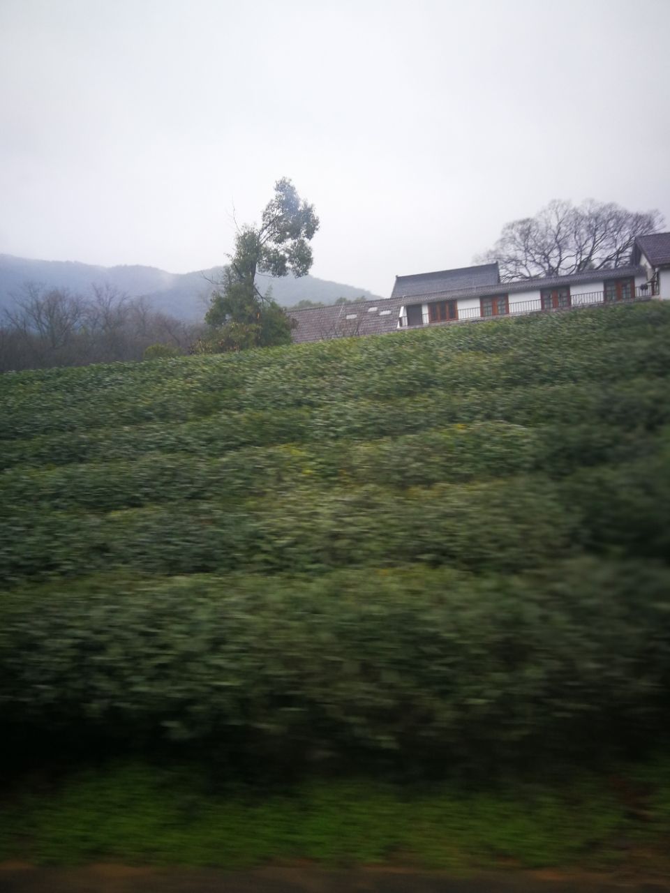 hth·华体网站