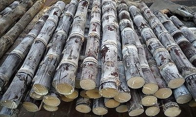 hth·华体(中国区)官方网站
