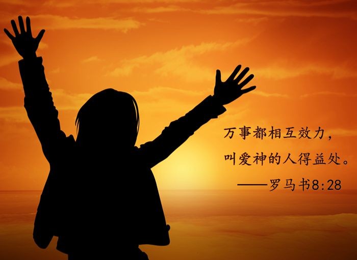 hth·华体网站