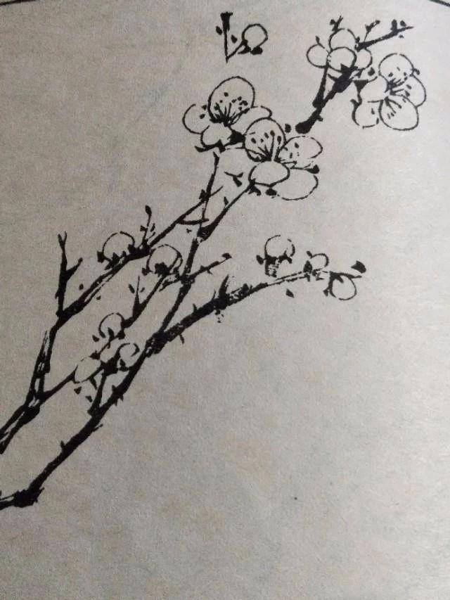 hth·华体网站