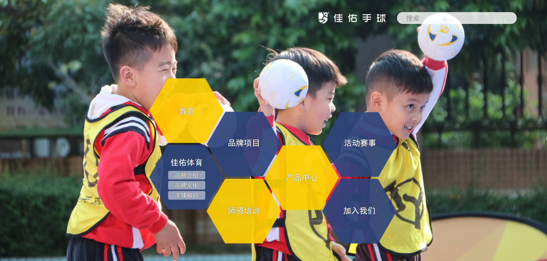 hth·华体网站：
“佳佑手球”官方网站正式上线！(图5)