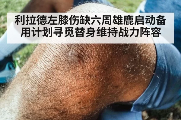 利拉德左膝伤缺六周雄鹿启动备用计划寻觅替身维持战力阵容